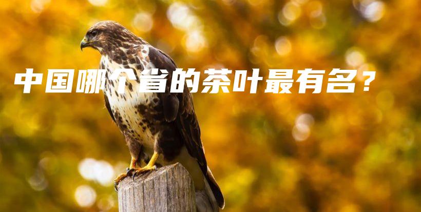 中國哪個省的茶葉最有名？插圖
