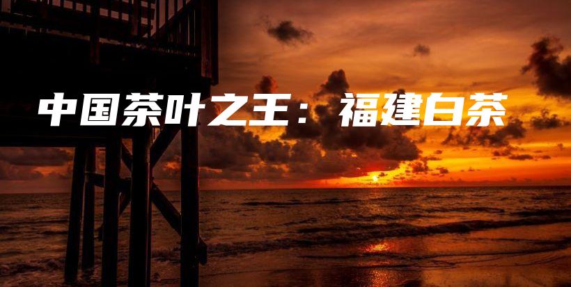 中國(guó)茶葉之王：福建白茶插圖