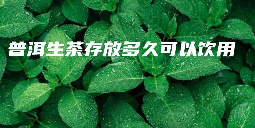 普洱生茶存放多久可以飲用插圖