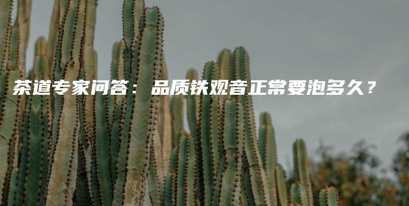 茶道專家問答：品質(zhì)鐵觀音正常要泡多久？插圖