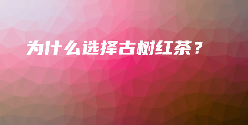 為什么選擇古樹紅茶？插圖