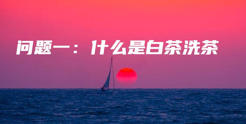 問題一：什么是白茶洗茶插圖