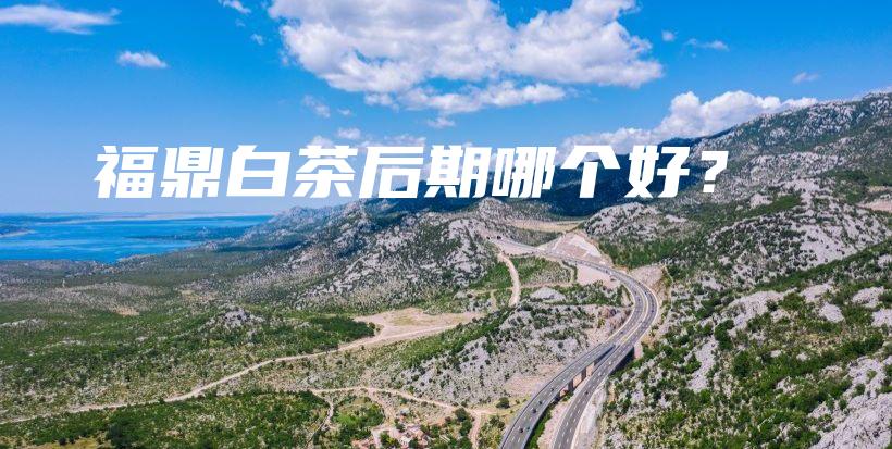 福鼎白茶后期哪個(gè)好？插圖