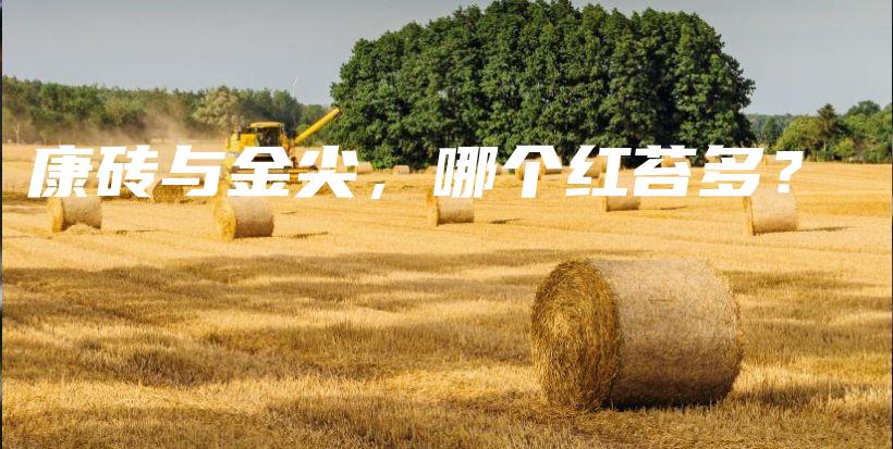康磚與金尖，哪個(gè)紅苔多？插圖