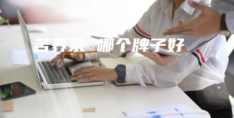 苦蕎茶 哪個牌子好插圖
