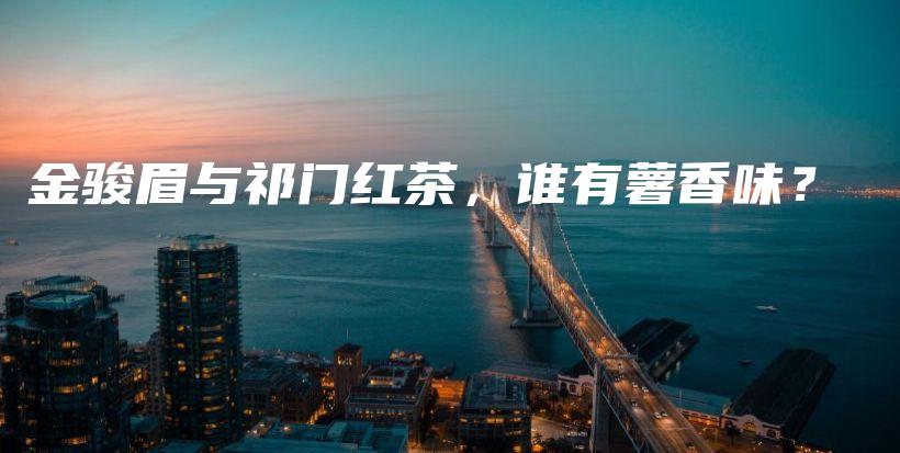 金駿眉與祁門紅茶，誰有薯香味？插圖