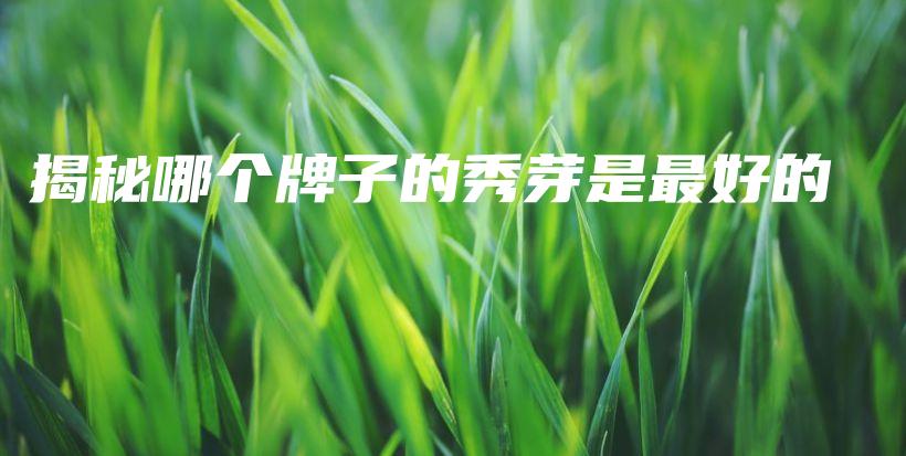 揭秘哪個(gè)牌子的秀芽是最好的插圖