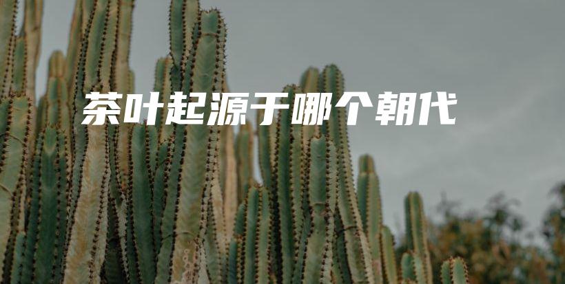 茶葉起源于哪個(gè)朝代插圖