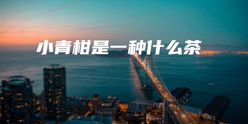 小青柑是一種什么茶插圖