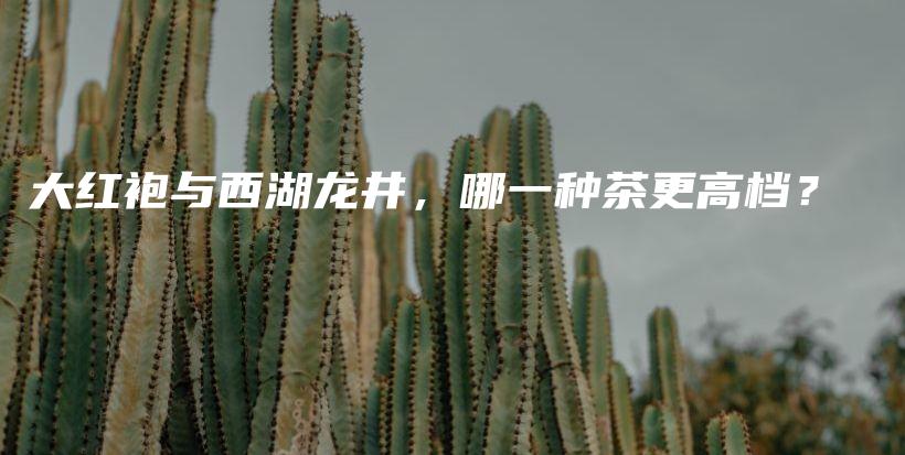 大紅袍與西湖龍井，哪一種茶更高檔？插圖