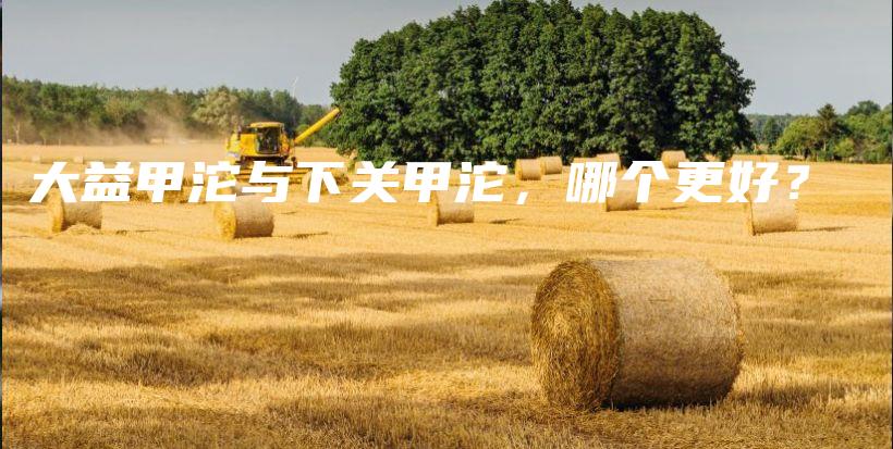 大益甲沱與下關(guān)甲沱，哪個更好？插圖