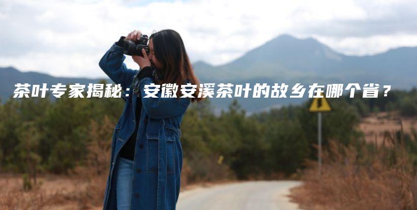茶葉專家揭秘：安徽安溪茶葉的故鄉(xiāng)在哪個省？插圖