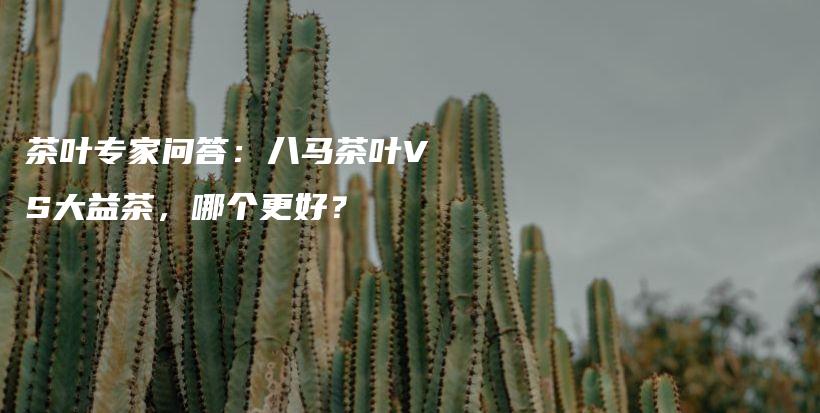 茶葉專家問答：八馬茶葉VS大益茶，哪個更好？插圖