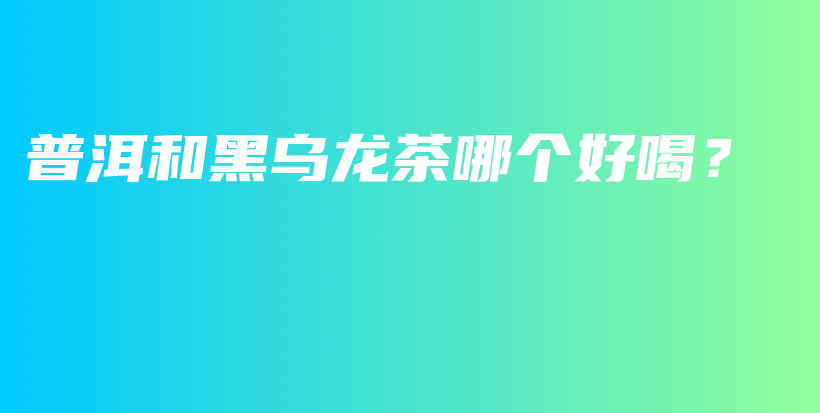 普洱和黑烏龍茶哪個好喝？插圖