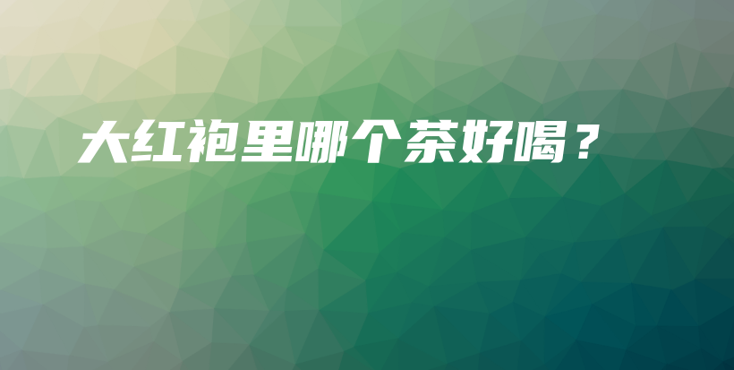 大紅袍里哪個(gè)茶好喝？插圖