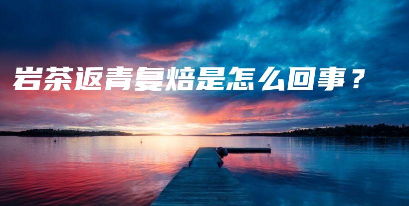 巖茶返青復(fù)焙是怎么回事？插圖