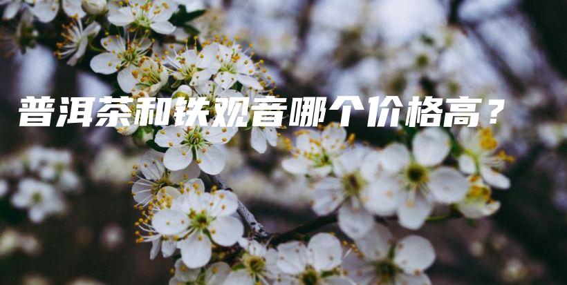 普洱茶和鐵觀音哪個價格高？插圖