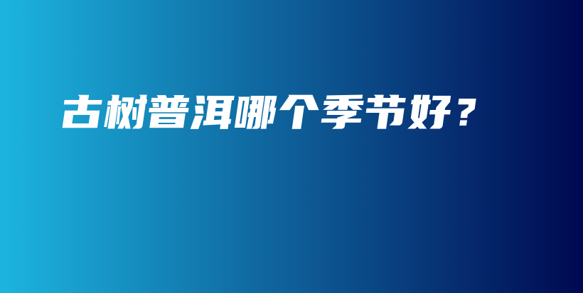 古樹(shù)普洱哪個(gè)季節(jié)好？插圖
