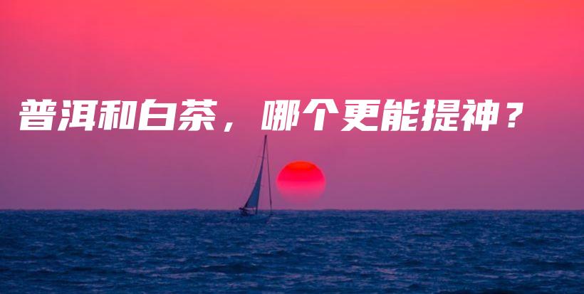 普洱和白茶，哪個更能提神？插圖