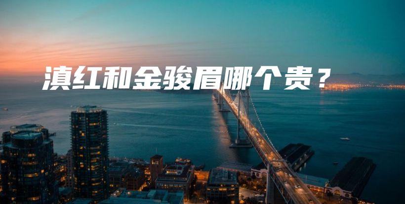 滇紅和金駿眉哪個(gè)貴？插圖
