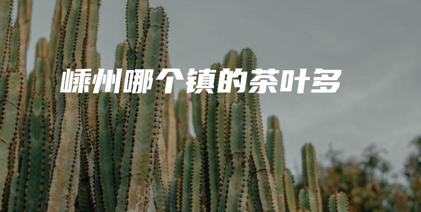 嵊州哪個(gè)鎮(zhèn)的茶葉多插圖