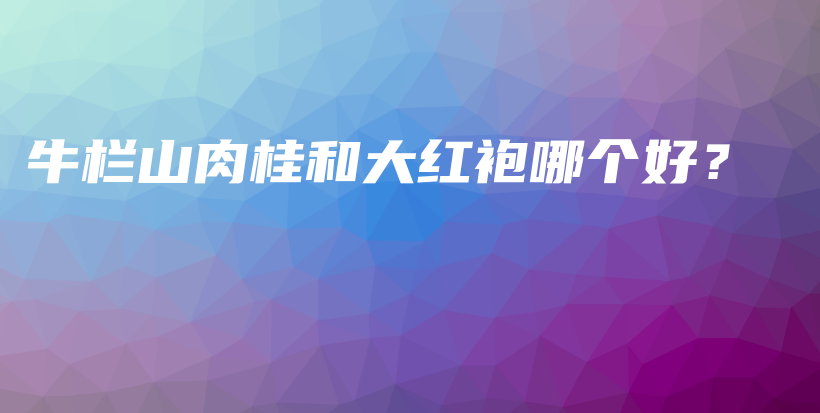 牛欄山肉桂和大紅袍哪個(gè)好？插圖