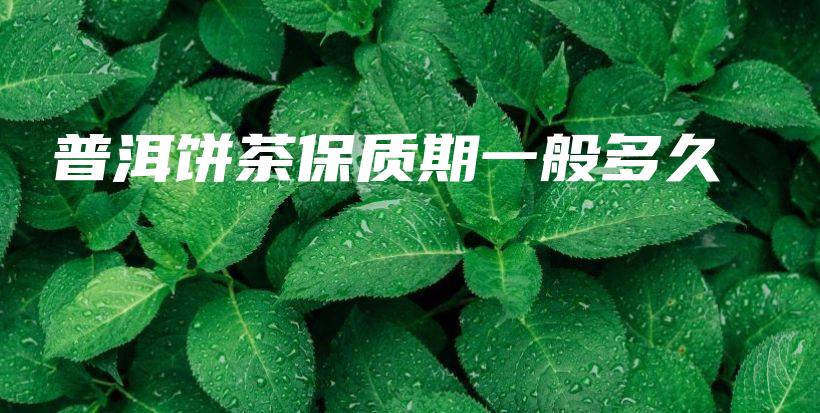 普洱餅茶保質(zhì)期一般多久插圖