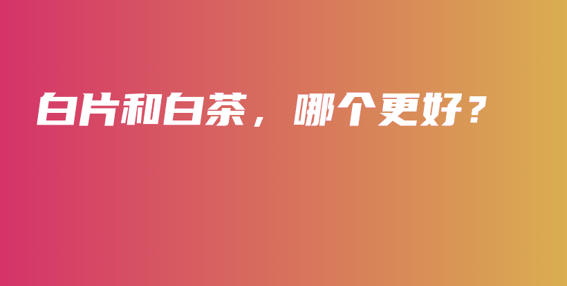白片和白茶，哪個更好？插圖