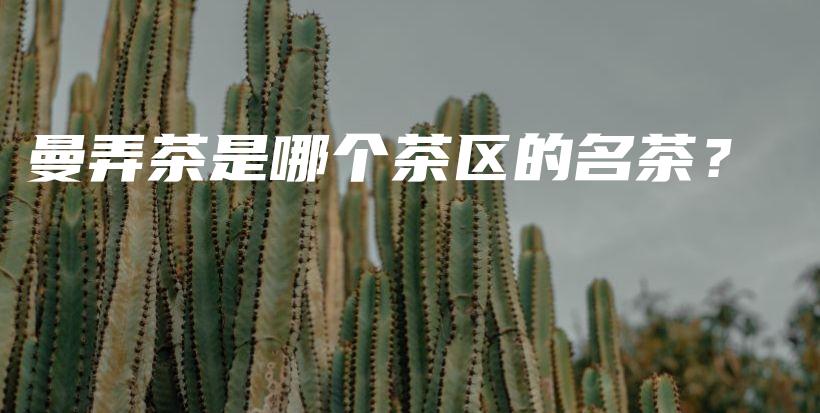 曼弄茶是哪個茶區(qū)的名茶？插圖