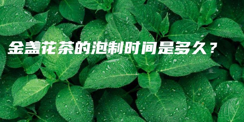 金盞花茶的泡制時間是多久？插圖