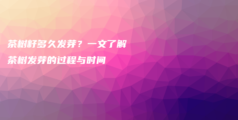 茶樹籽多久發(fā)芽？一文了解茶樹發(fā)芽的過程與時間插圖
