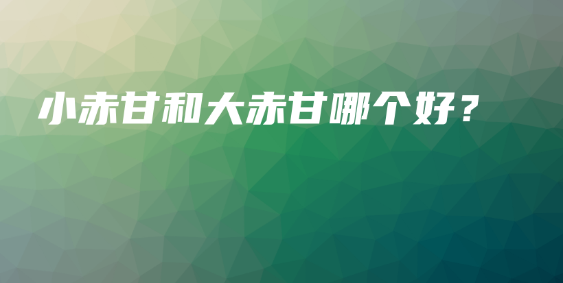 小赤甘和大赤甘哪個(gè)好？插圖