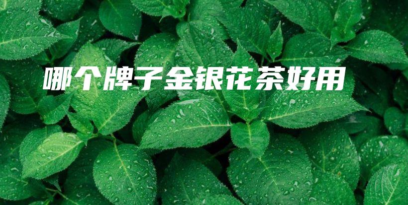 哪個牌子金銀花茶好用插圖