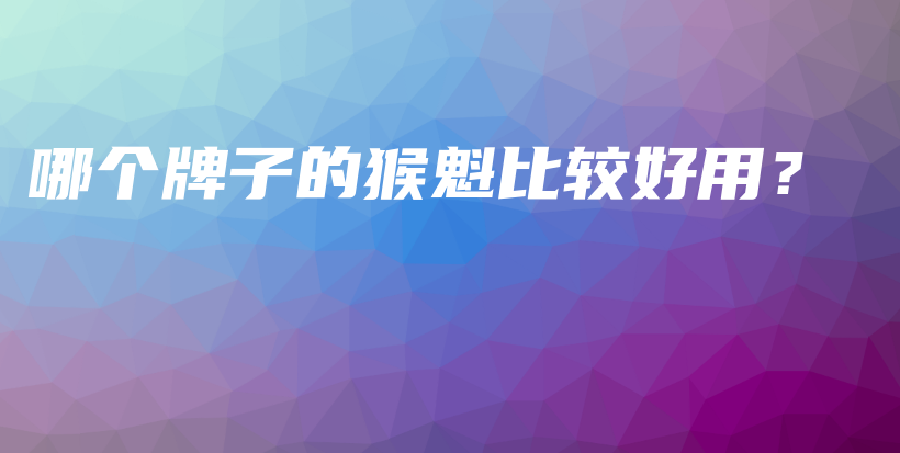 哪個牌子的猴魁比較好用？插圖