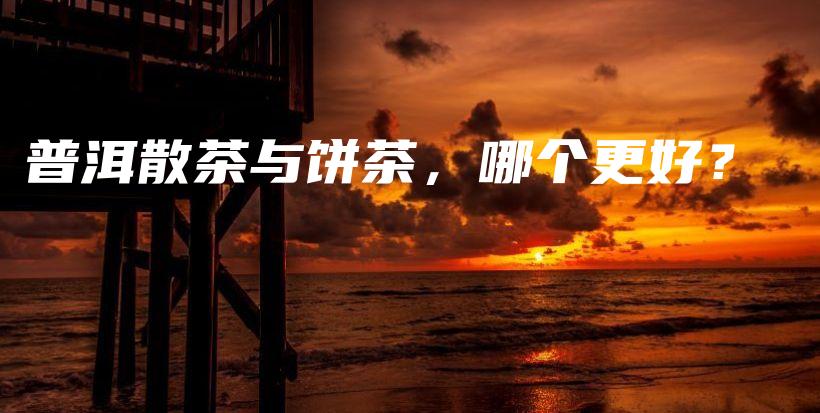 普洱散茶與餅茶，哪個(gè)更好？插圖
