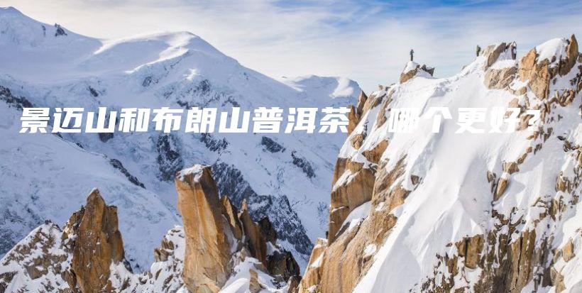 景邁山和布朗山普洱茶，哪個(gè)更好？插圖