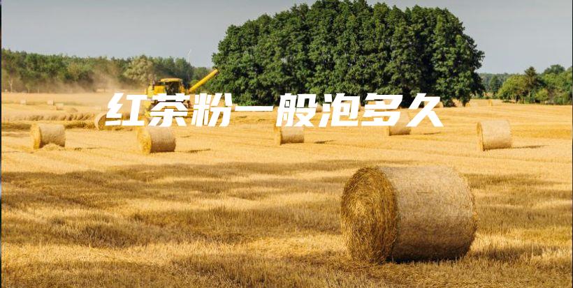 紅茶粉一般泡多久插圖