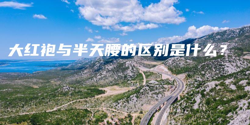 大紅袍與半天腰的區(qū)別是什么？插圖