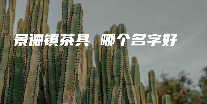 景德鎮(zhèn)茶具 哪個(gè)名字好插圖