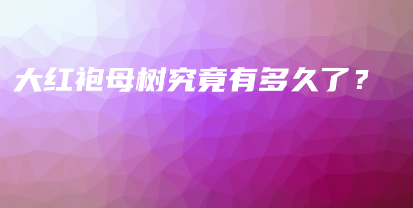 大紅袍母樹究竟有多久了？插圖