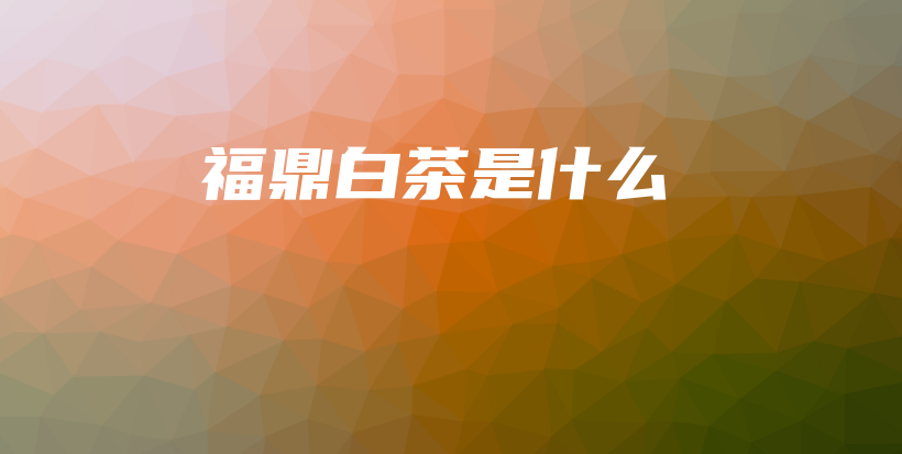 福鼎白茶是什么插圖