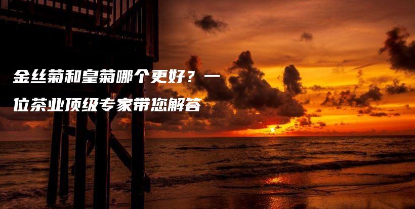 金絲菊和皇菊哪個更好？一位茶業(yè)頂級專家?guī)獯鸩鍒D