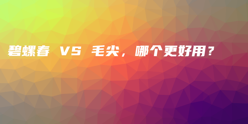 碧螺春 VS 毛尖，哪個更好用？插圖