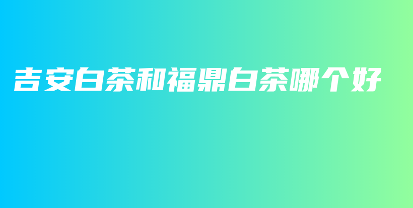 吉安白茶和福鼎白茶哪個好插圖