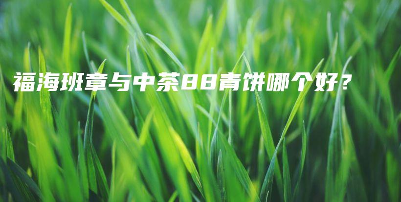 福海班章與中茶88青餅?zāi)膫€好？插圖