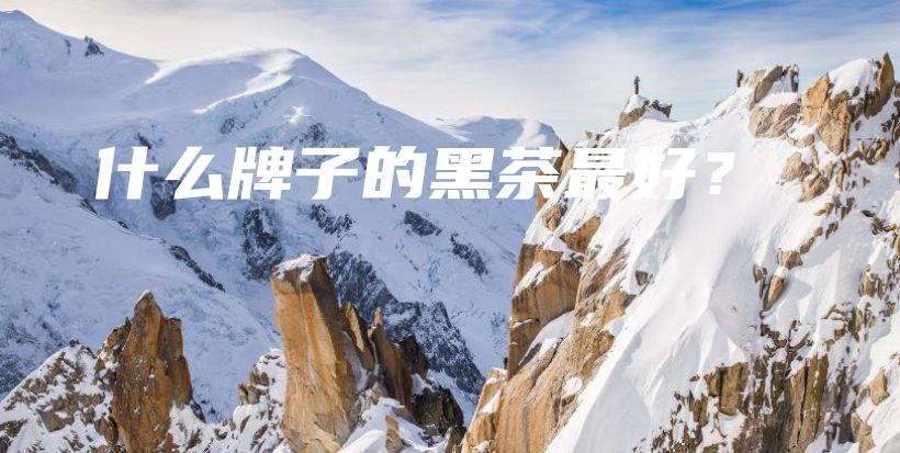 什么牌子的黑茶最好？插圖
