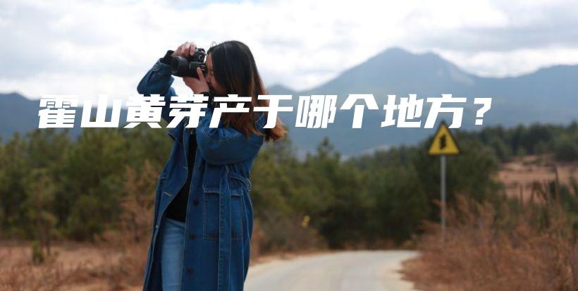 霍山黃芽產(chǎn)于哪個(gè)地方？插圖