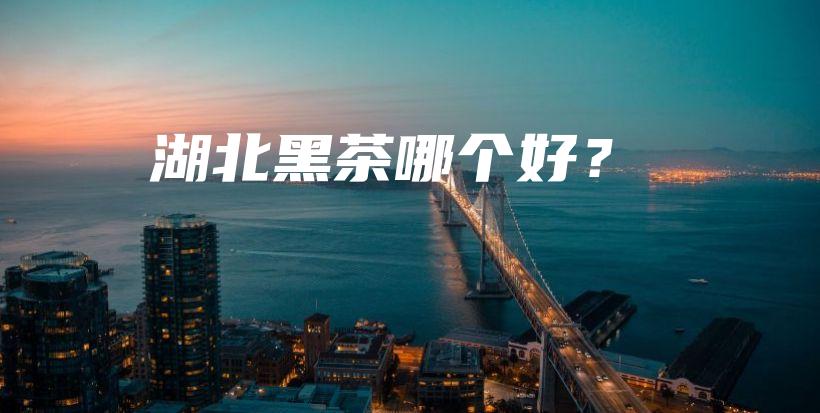 湖北黑茶哪個(gè)好？插圖