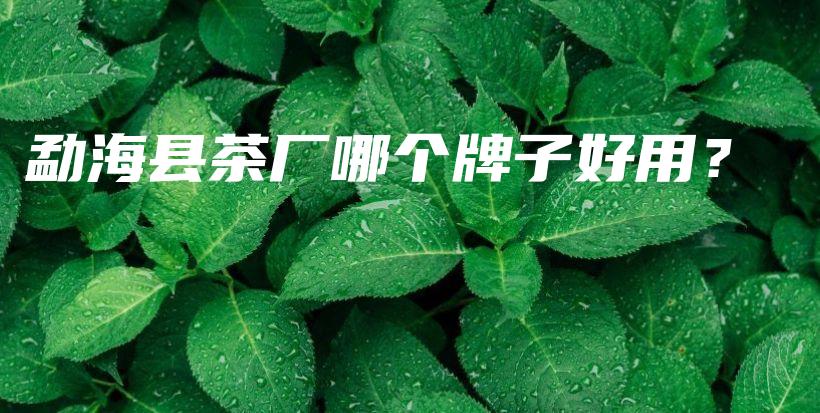 勐?？h茶廠哪個(gè)牌子好用？插圖