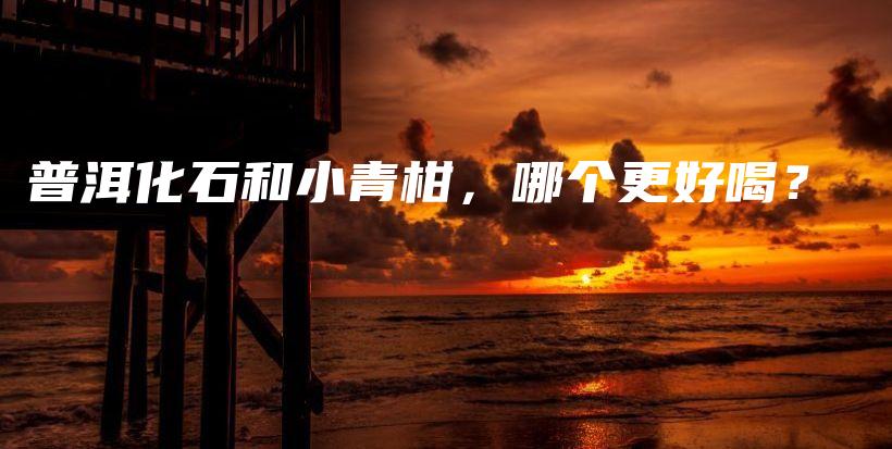 普洱化石和小青柑，哪個更好喝？插圖